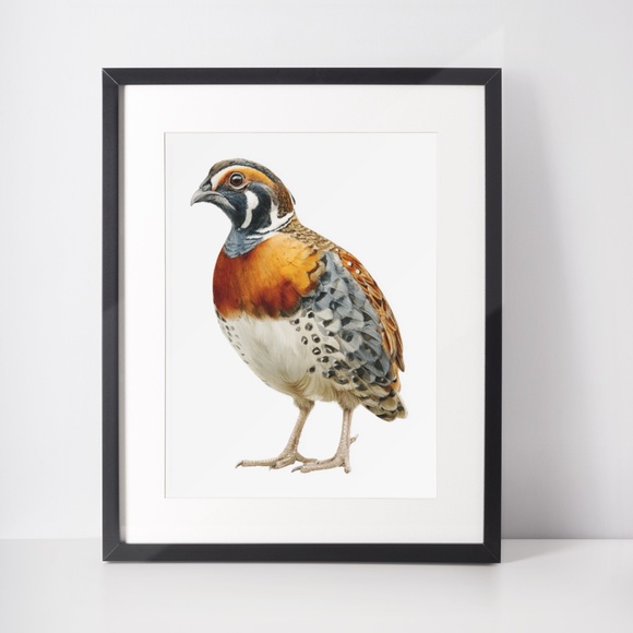 Watercolor Quail Wall Art Print, Unframed - Vibrant Nature-Inspired Home Decor - Picture 3 of 6
